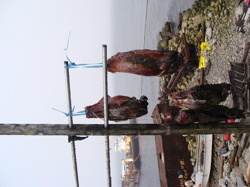 Crossing 215.jpg